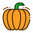 pumpkin, vegetable, fruit, squash, halloween