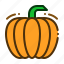 pumpkin, vegetable, fruit, squash, halloween 