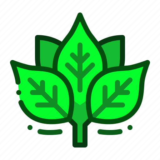 Spinach, vegetable, healthy, herb, plants icon - Download on Iconfinder