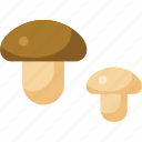 food, mushroom, vegetable