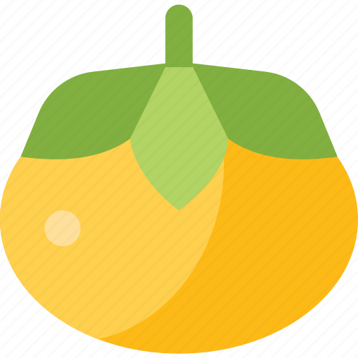 Food, tomato, vegetable, yellow icon - Download on Iconfinder