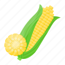 corn, vegan, vegetable, organic, cereal, diet, nature