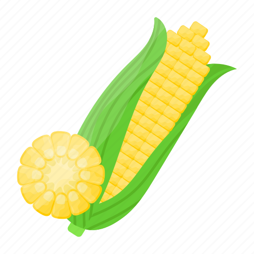 Corn, vegan, vegetable, organic, cereal, diet, nature icon - Download on Iconfinder