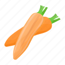 carrot, vegan, food, veggie, vegetable, healthy