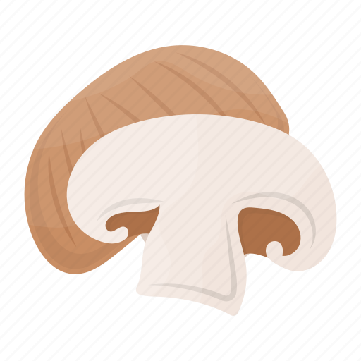 Muscaria, fungi, mushroom, vegetable, healthy, organic icon - Download on Iconfinder