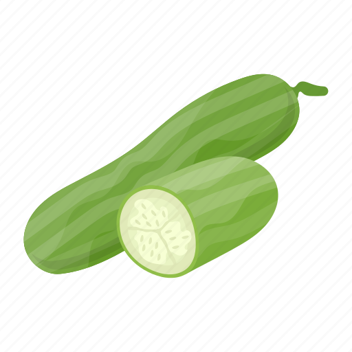 Cucumber, vegetables, healthy, cucumber slice, organic, healthy food icon - Download on Iconfinder