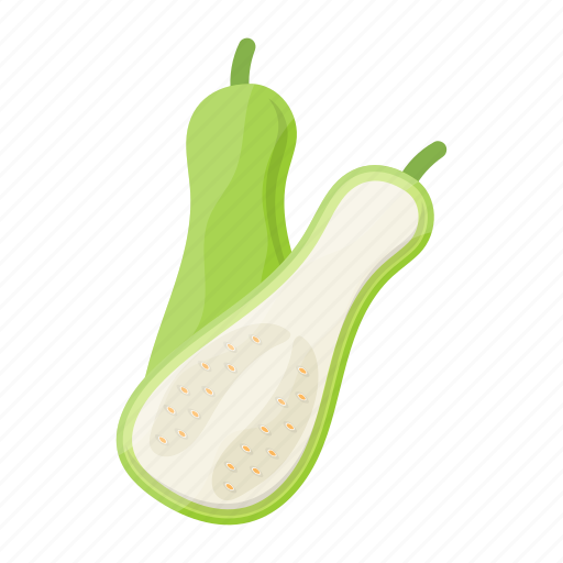 Zucchini, vegetable, healthy, food, organic, meal icon - Download on Iconfinder
