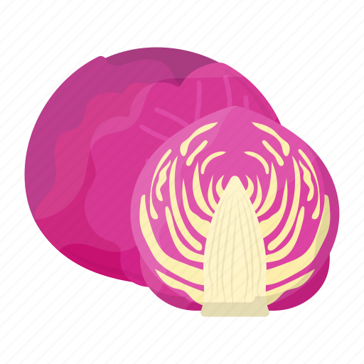 Red cabbage, vegan food, healthy food, cauliflower, vegetable, organic icon - Download on Iconfinder