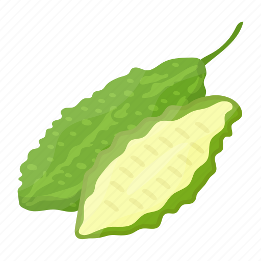 Bitter gourd, organic, vegetable, food, healthy, cooking icon - Download on Iconfinder