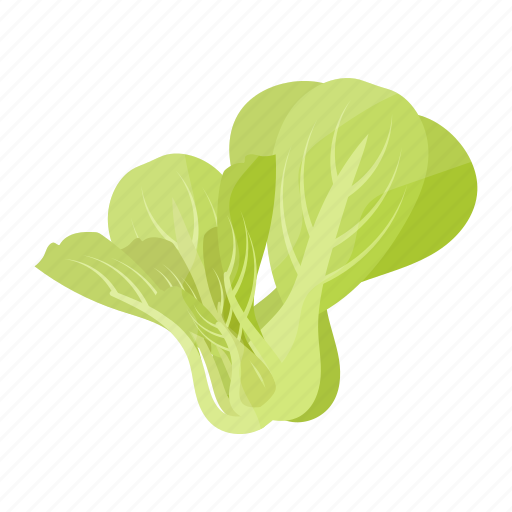Lettuce, organic, vegetable, fresh, ingredient, vegetarian icon - Download on Iconfinder