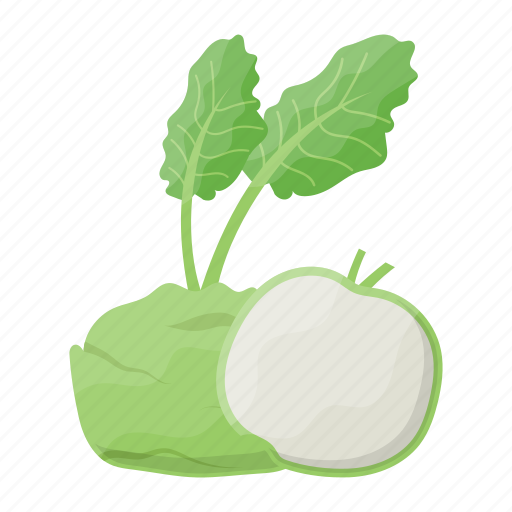 Kohlrabi, organic, vegan, ingredient, vegetarian icon - Download on Iconfinder