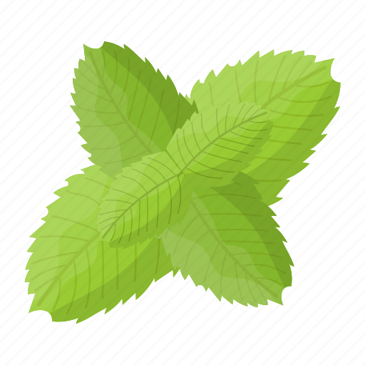 Leaves, vegetable, watercress, veggie, organic, healthy food icon - Download on Iconfinder