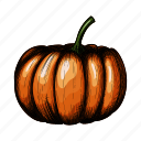 autumn, food, pumpkin, vegetable, decoration, retro, vintage