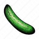 agriculture, green, cucumber, retro, vintage, drawn, draw