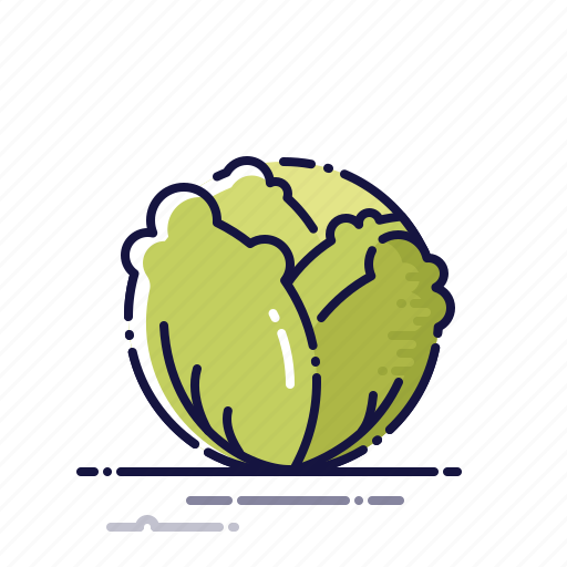 Cabbage, cooking, food, kitchen, meal, plant, vegetables icon - Download on Iconfinder
