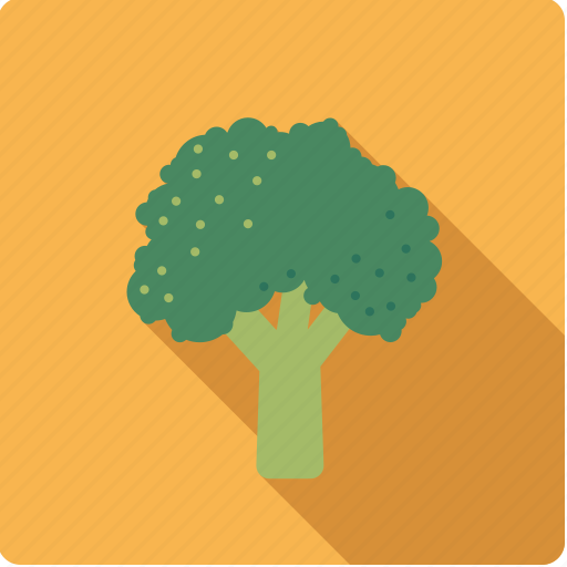 Broccoli, cabbage, food, vegetable, vegetarian icon - Download on Iconfinder