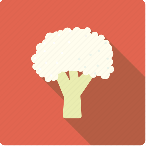 Cabbage, cauliflower, food, vegetable, vegetarian icon - Download on Iconfinder