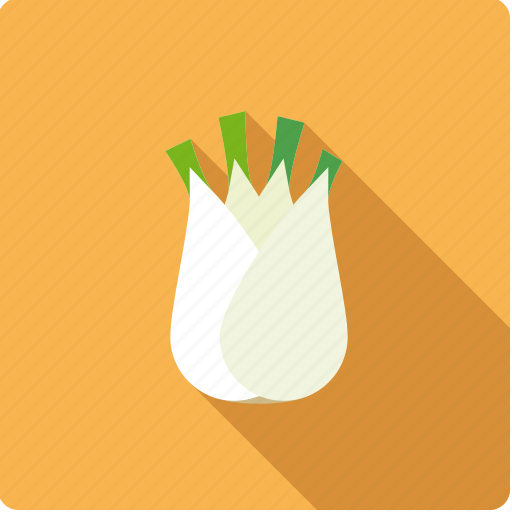 Bulb, fennel, food, vegetable, vegetarian icon - Download on Iconfinder