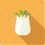 bulb, fennel, food, vegetable, vegetarian 