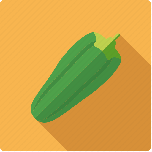 Food, gourd, vegetable, vegetarian, zucchini icon - Download on Iconfinder