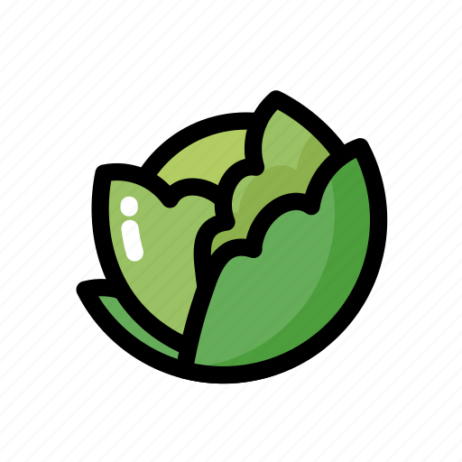 Cabbage, food, healthy, ingredient, vegan, vegetable icon - Download on Iconfinder