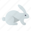 animal, rabbit 