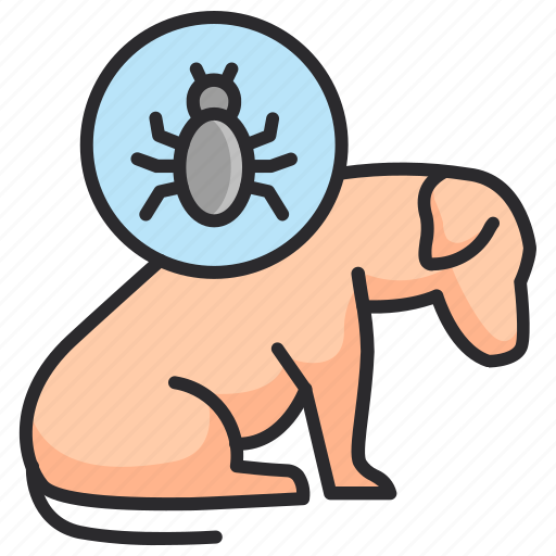 Veterinary, pet, bug, insect, pest, parasites icon - Download on Iconfinder
