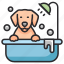 bath, hygiene, shower, grooming, pet, dog 