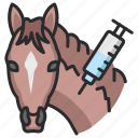 veterinary, horse, vaccine, vaccination, injection, treatment, sick