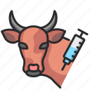 veterinary, cow, injection, vaccine, treatment, healthcare