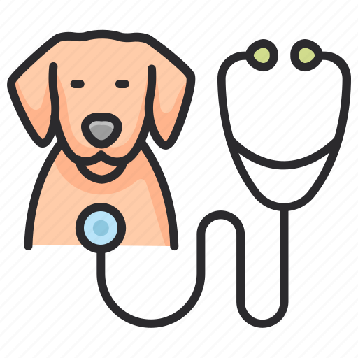 Veterinary, checkup, medical, treatment, healthcare, veterinarian icon - Download on Iconfinder
