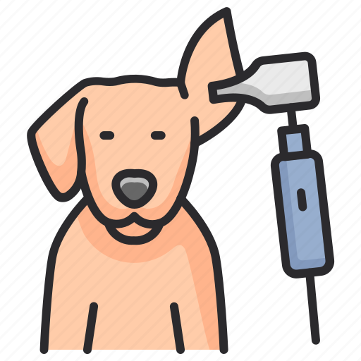 Dermatology, veterinary, treatment, medical, healthcare icon - Download on Iconfinder