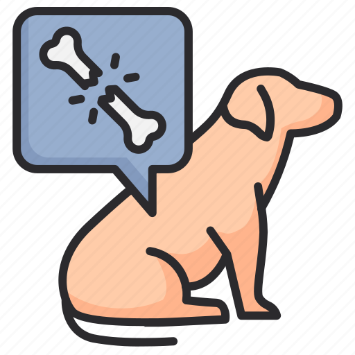 Veterinary, bone, fracture, cracking, medical, pet icon - Download on Iconfinder