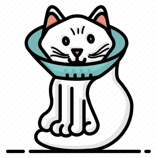 Cat, collar, elizabethan, medical, pet care, vet, veterinary icon - Download on Iconfinder