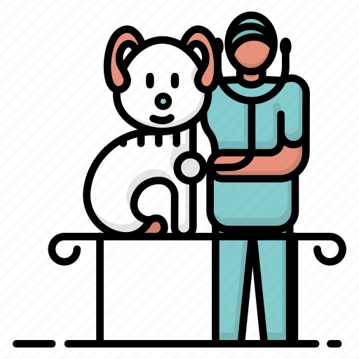 Consultation, dog, medical, pet care, vet, veterinarian, veterinary icon - Download on Iconfinder