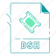 dsh, extension, file type, format, type, video, video format 