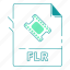extension, file type, flr, format, type, video, video format 