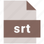 srt, subrip subtitle file, video file format 