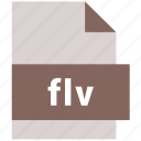 extension, file, file format, flv, video file format
