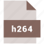 extension, file, format, h264, hovytech, type, video file format 