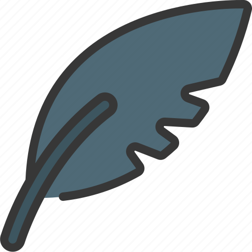 Feather, bird, quill, pen, feathers icon - Download on Iconfinder