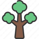 large, tree, plant, foliage, asset