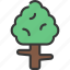 small, tree, plant, foliage, asset 