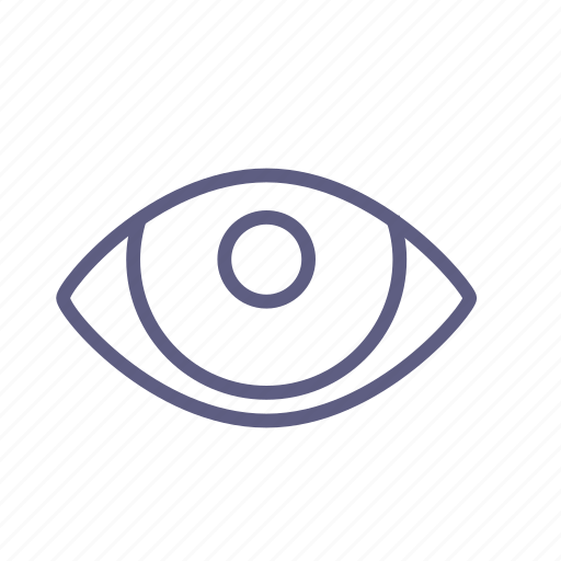 Eye, look, optic, orb, view, visual, watch icon - Download on Iconfinder
