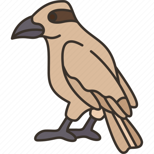Bird, shrike, wildlife, vietnam, nature icon - Download on Iconfinder