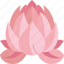 lotus, flower, pond, national, vietnam