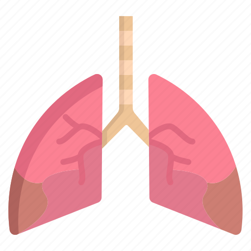 Lungs icon - Download on Iconfinder on Iconfinder