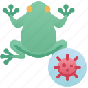frog, quarantine