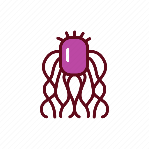 Bacteria, virus icon - Download on Iconfinder on Iconfinder