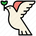 dove, peace, bird, pigeon, pacifism, armistice, war